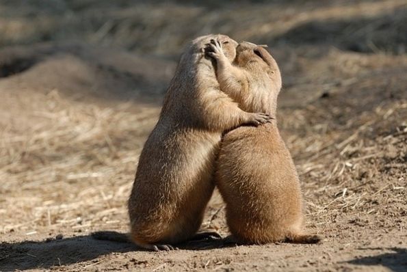 来,亲亲抱抱生活多美好