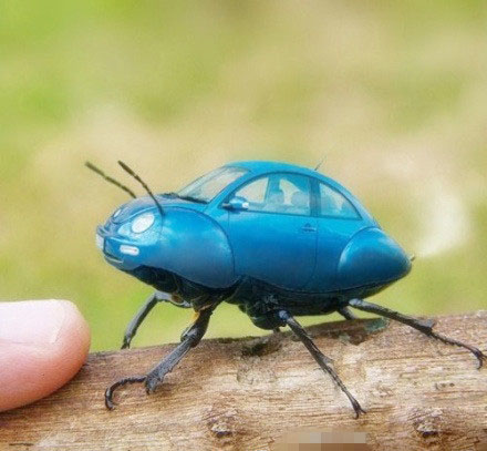 这才是真正的甲壳虫,全球仅一辆